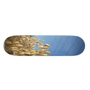 Oats Plant Skateboard
