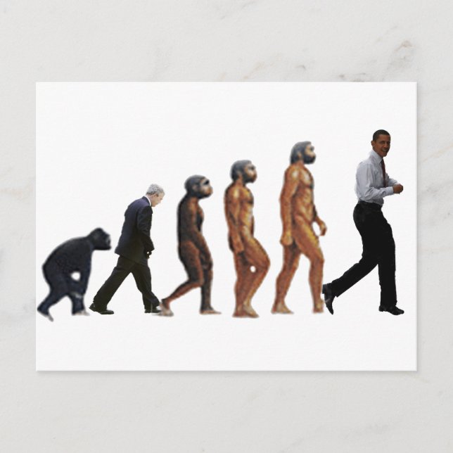 Obama Evolution Postcard (Front)