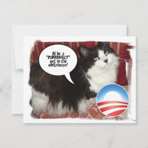 Obama Pet/Political Humour