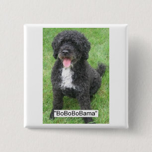 Obama Pet Portuguese Water dog 15 Cm Square Badge