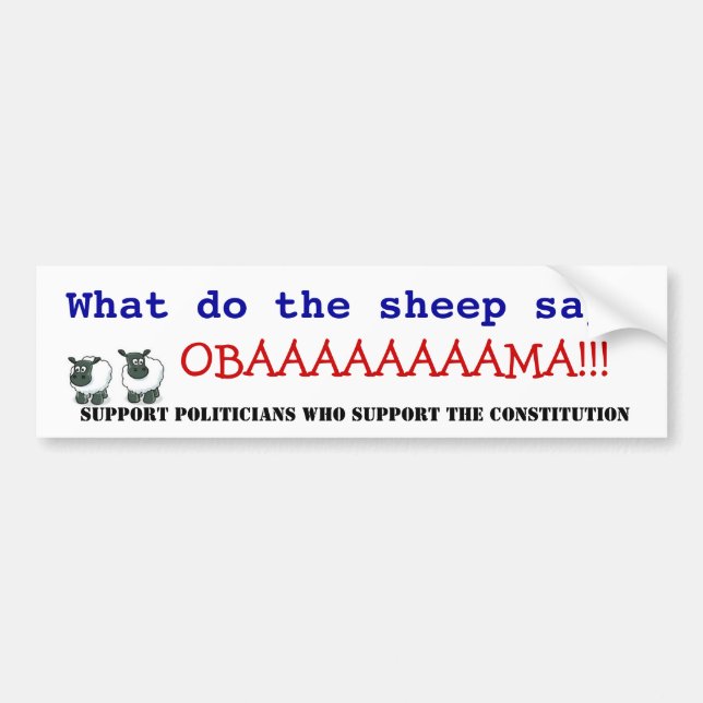 Obama vs the Constitution Bumper Sticker (Front)