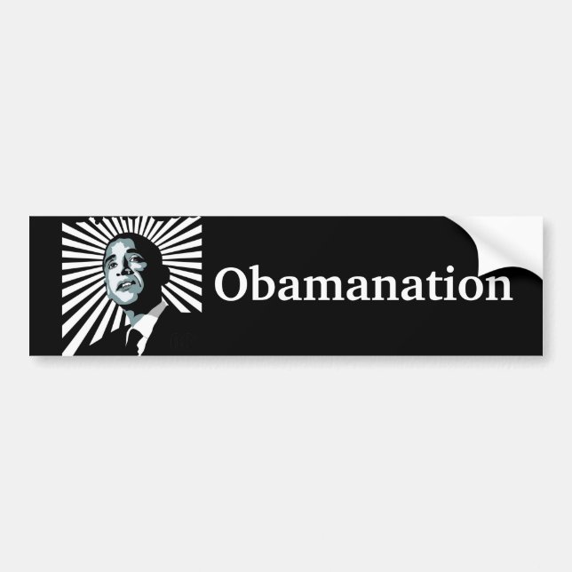Obamanation Bumper Sticker (Front)