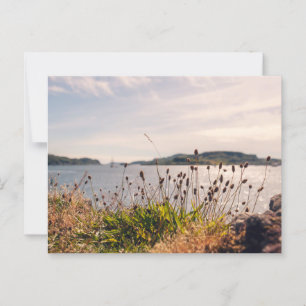 Oban Waterfront Postcard