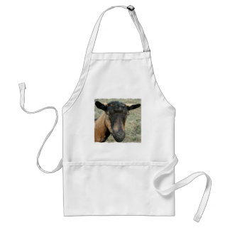 Oberhasli brown goat head shot in colour standard apron