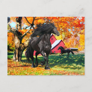 "Oberon In Autumn" Postcard