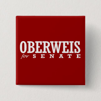 OBERWEIS FOR SENATE 2014 15 CM SQUARE BADGE