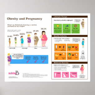 Obesity and Pregnancy 20" x 16" Infographic Poster