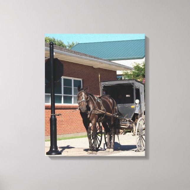 Obey All Stop Signs, Amish Horse and Buggy Canvas Print (Front)