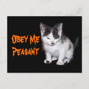 Obey Me Peasant Postcard
