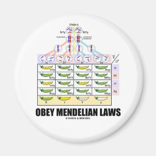 Obey Mendelian Laws (Dihybrid Cross Peas) Magnet