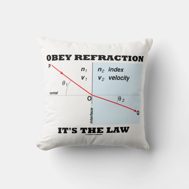 Obey Refraction It's The Law Physics Geek Humour Cushion (Front)