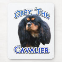 Obey the Cavalier