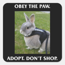 Obey the Paw Sticker