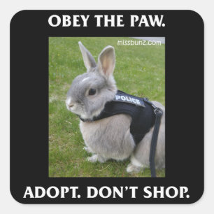 Obey the Paw Sticker
