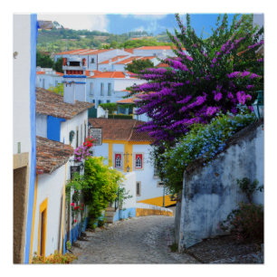 Obidos Flowers, Portugal Poster