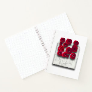 objet_4_variations on the ruby spiral notebook