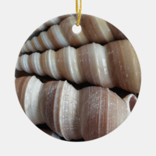 Oblong Summer Seashells, Summer Season Ceramic Tree Decoration