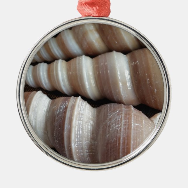 Oblong  Summer Seashells, Summer Season Metal Tree Decoration (Front)