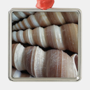Oblong Summer Seashells, Summer Season Metal Tree Decoration