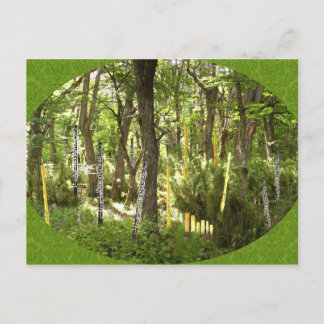 Oboe Forest Postcard