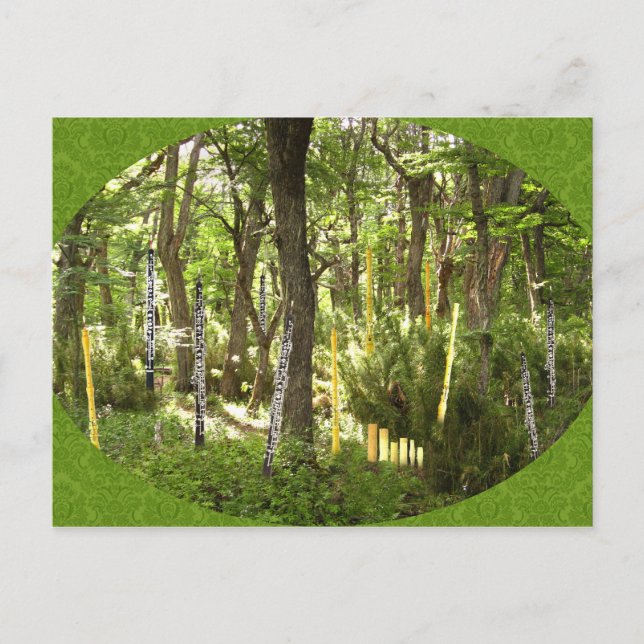 Oboe Forest Postcard (Front)