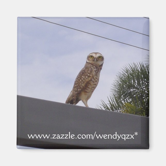 Observant Owl Magnet (Front)