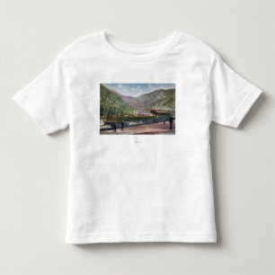 Observation Railroad Car Toddler T-Shirt