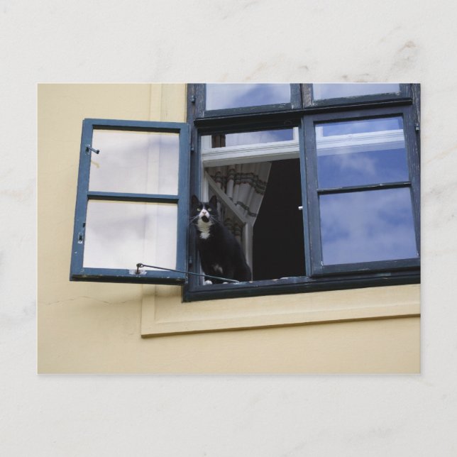 Observer Postcard (Front)