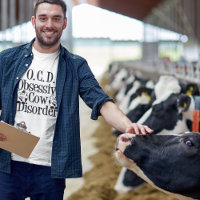 Obsessive Cow Disorder