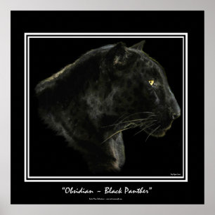 "OBSIDIAN" ~ Black Panther Puma Wildlife Art Print