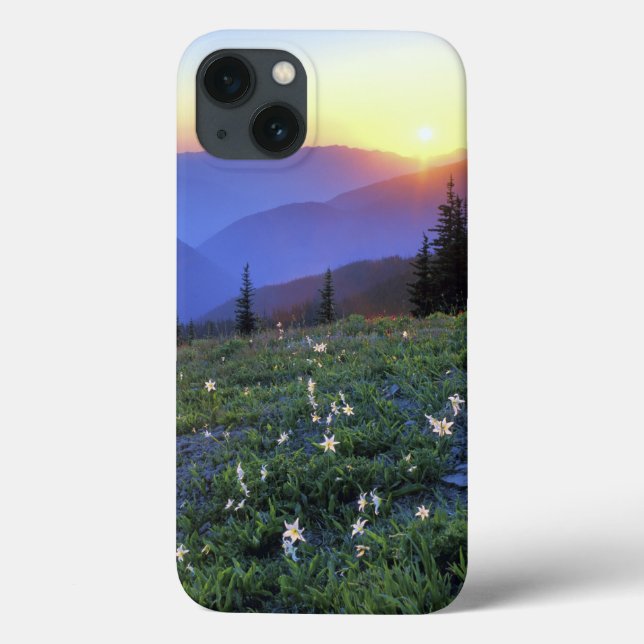 Obstruciton Point Sunset, Olympic NP, WA, USA Case-Mate iPhone Case (Back)