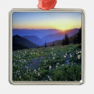 Obstruciton Point Sunset, Olympic NP, WA, USA Metal Tree Decoration