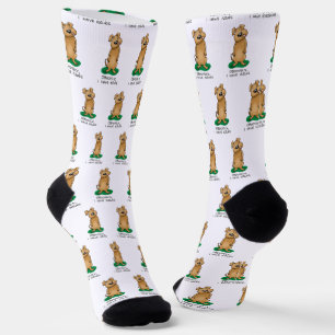 Obviously I have issues - Funny dog with problems Socks