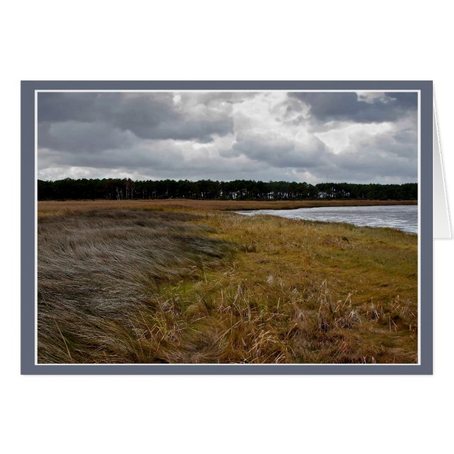 OBX Wetlands (Front Horizontal)