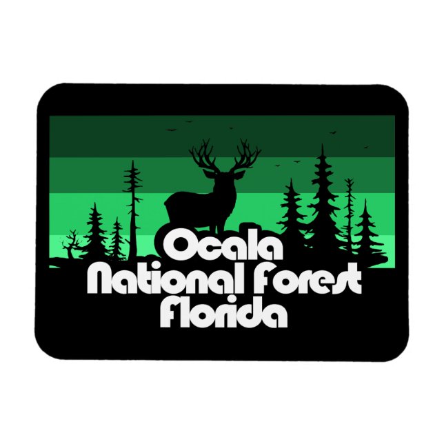 Ocala National Forest Florida Magnet (Horizontal)