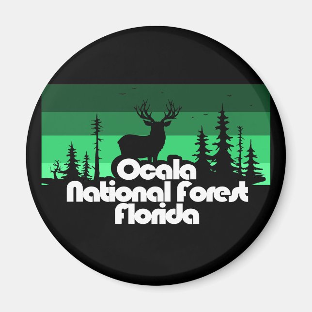 Ocala National Forest Florida Magnet (Front)
