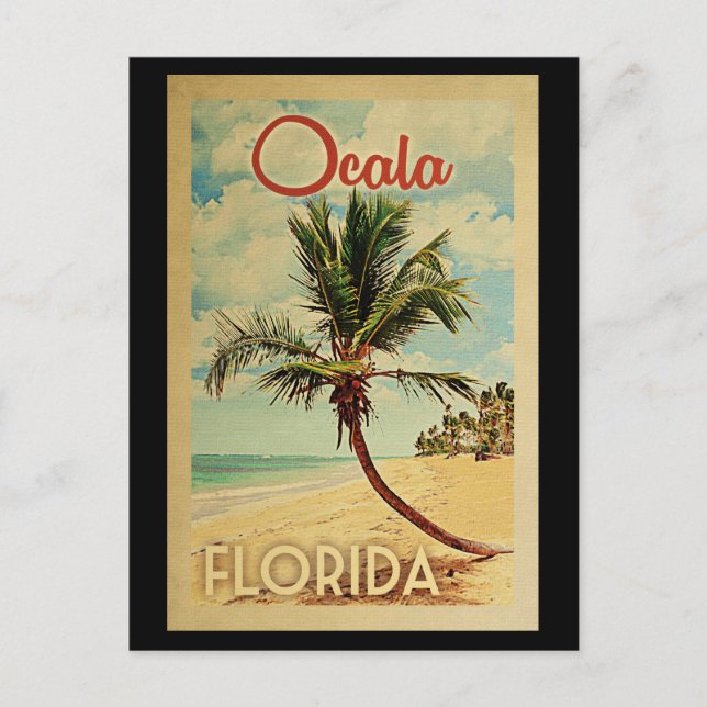 Ocala Palm Tree Vintage Travel Postcard (Front)