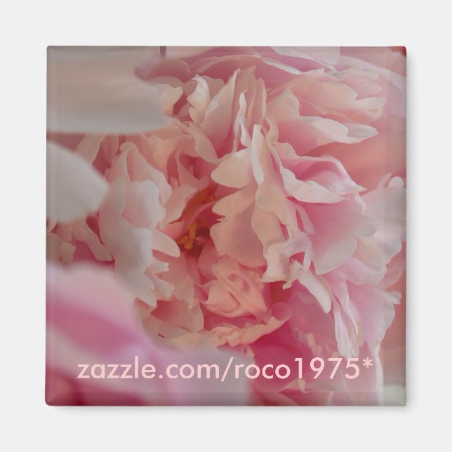 Occhiata Magnet (Front)