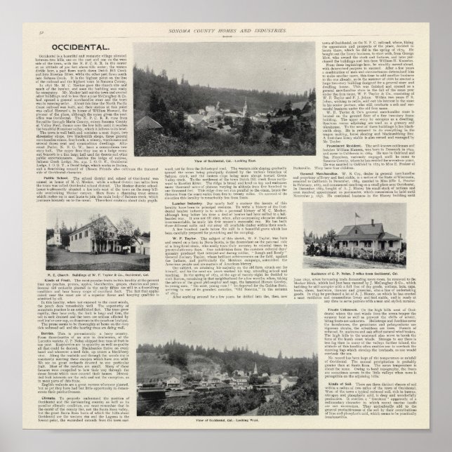 Occidental, California Poster (Front)