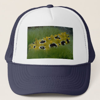 Occilated nudibranch feeding on sea grass trucker hat