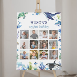 Ocean Animal Boy Birthday Photo Milestone Sign