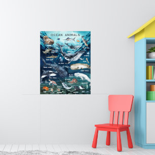 Ocean Animals   Education Learning Classroom  Poster