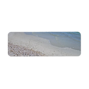 Ocean Beach and Shells