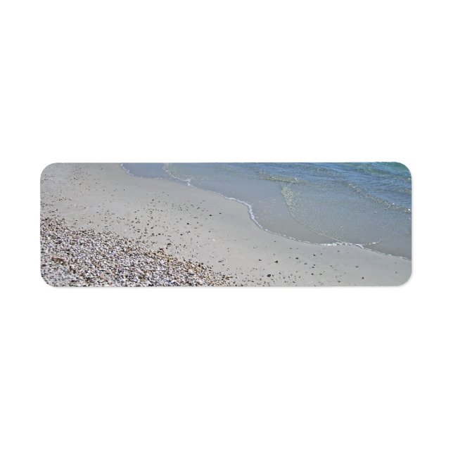 Ocean Beach and Shells (Front)