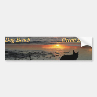 Ocean Beach, dog beach bumper sticker