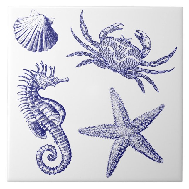 Ocean Beach Seahorse Starfish Crab & Shell Pattern Tile (Front)