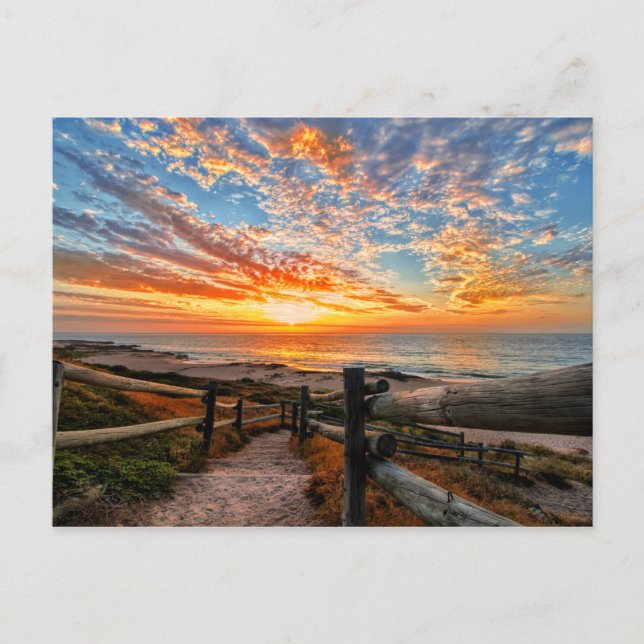 Ocean Beach View Tropical Sunset Paradise Dream Postcard (Front)