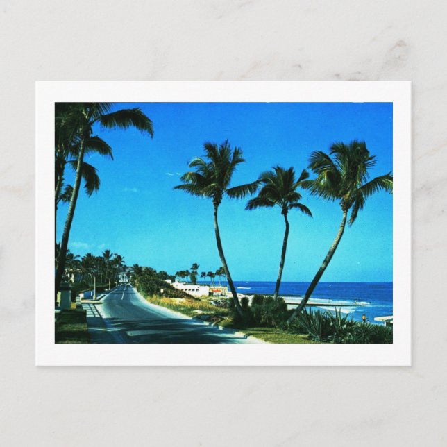 Ocean Boulevard, Palm Beach, Florida Vintage Postcard (Front)