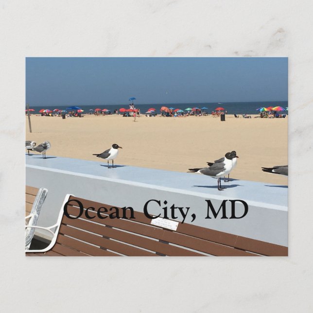 Ocean City Beach, MD with Birds Postcard (Front)