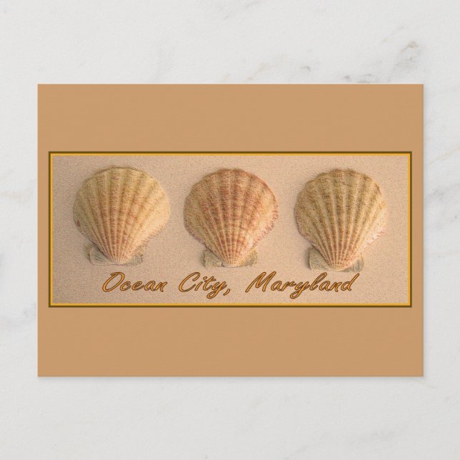 Ocean City, Maryland Postcard (Front)